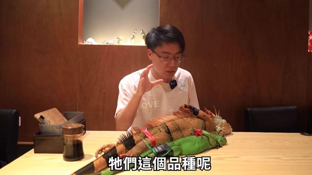 為台灣生態除害！ YouTuber三杯燒酒煮綠鬣蜥 味道更勝雞肉