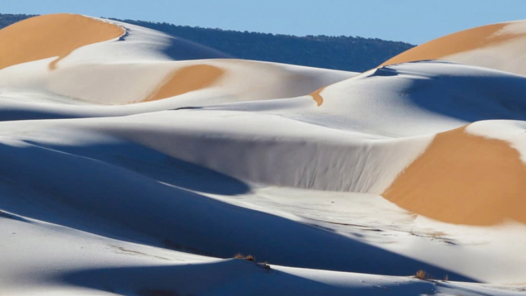 撒哈拉沙漠被積雪覆蓋
