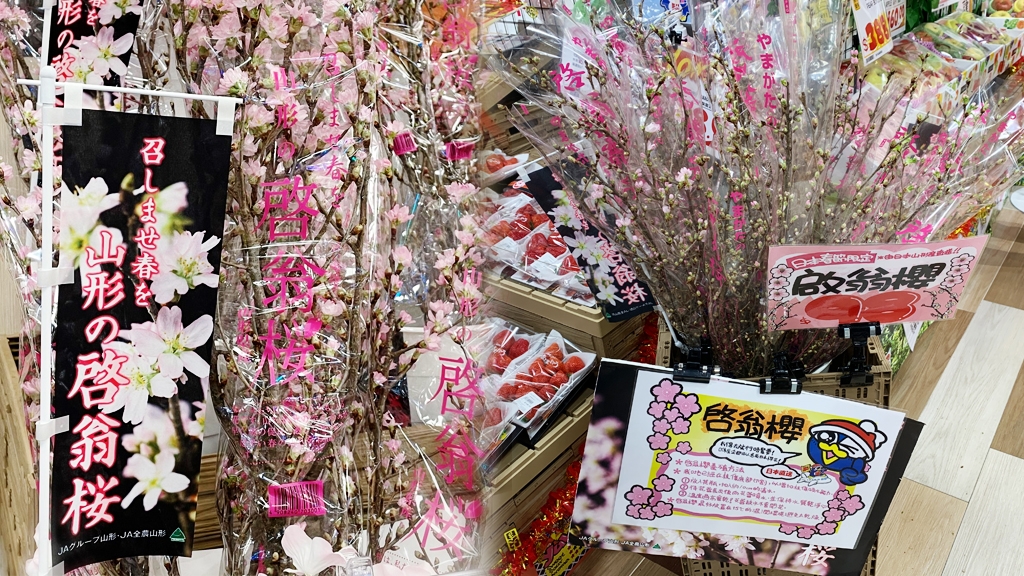 香港DONKI熱賣日本直送櫻花