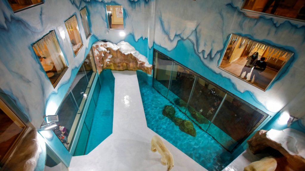 全球首個北極熊酒店中國開業