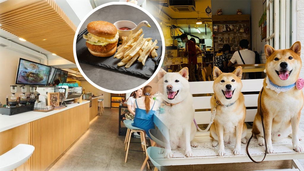 新界10大寵物友善Dog Friendly餐廳