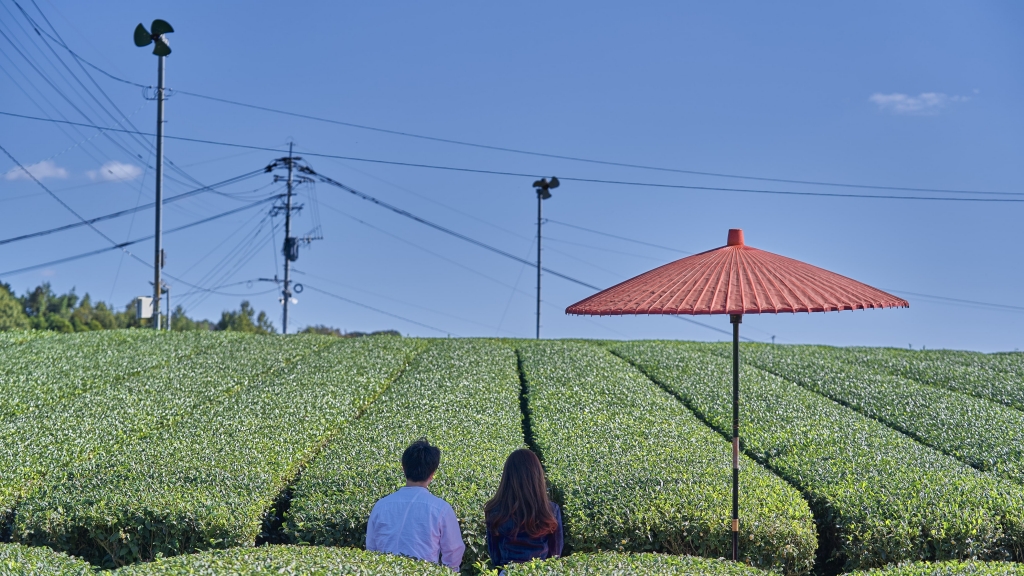 福岡 70 公頃茶園 panorama 露台做瑜伽歎茶