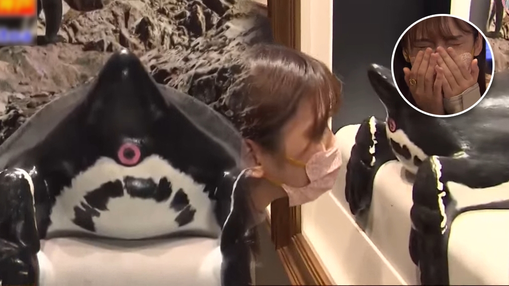 日本水族館推另類體驗聞動物屁股