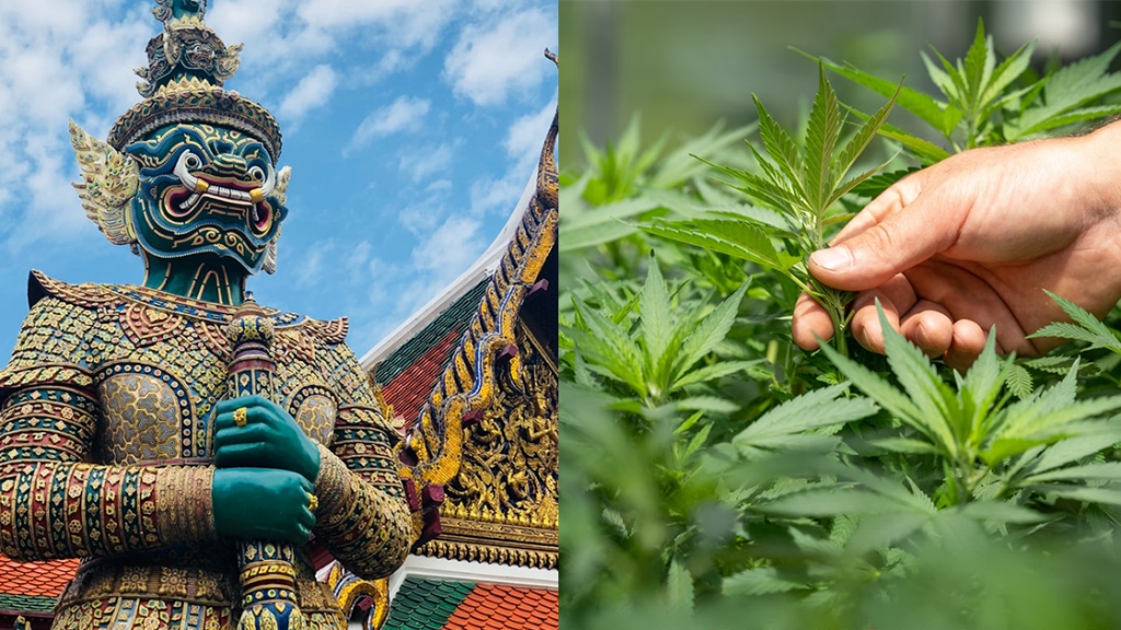 泰國成大麻合法化國家