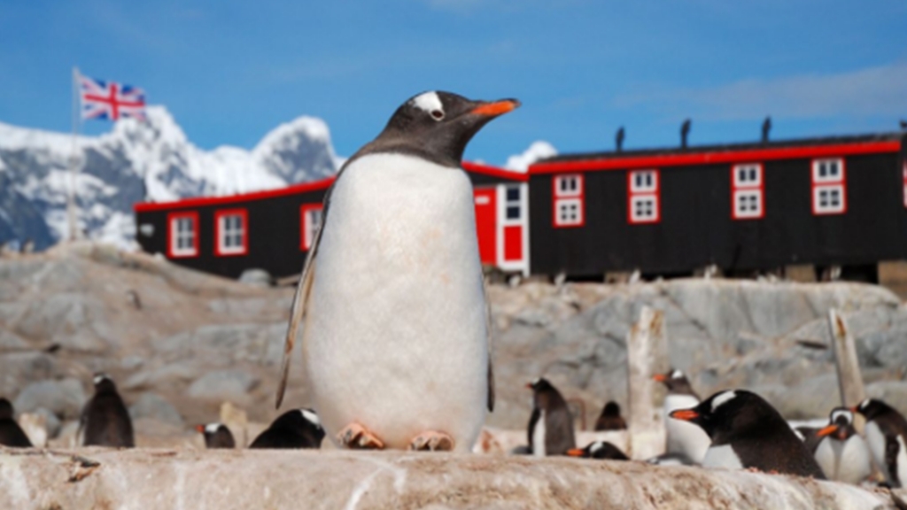英國招募團隊去南極數企鵝
