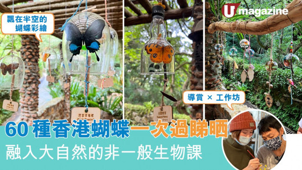 60種香港蝴蝶一次過睇晒 融入大自然的非一般生物課