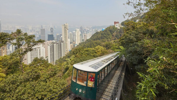 山頂好去處｜周日生態導賞一天遊 登山飽覽維港美景！乘坐第六代山頂纜車+創意手作工作坊