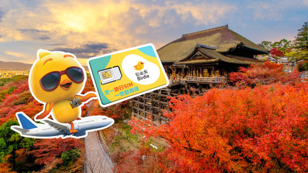 【旅行SIM實測報告】深水埗買過期咭中伏用唔到？ 自由鳥抵玩旅遊數據逐日計$12日，方便易用｜日本實測