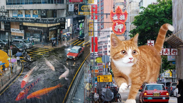 上環好去處｜SurrealHK 超現實攝影展12月上環美術館舉行！展出33幅糅合港人集體回憶+可愛寵物之藝術作品