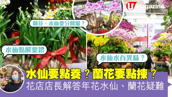 水仙要點養？蘭花要點揀？ 花店店長解答年花水仙、蘭花疑難
