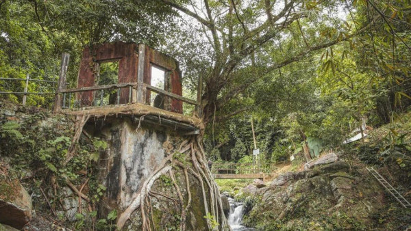 大埔好去處｜ 偽泰國半日遊 打卡隱世百年樹屋秘境！太和泰國寺/靈顯法院樹屋