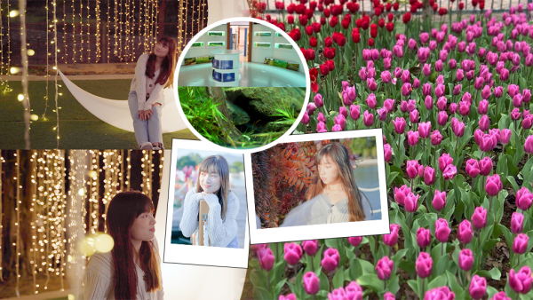 大埔好去處｜大埔LAKE HOUSE 2萬朵鬱金香後花園盛放！必打卡水上木橋＋遊戲攤位/全新開幕水族館（附交通方式）