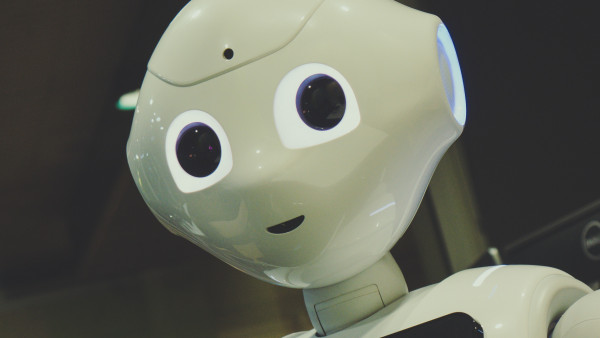 淘寶驚現人工聊天機器人ChatGPT代問服務 代問每句收$1？代寫論文都得？