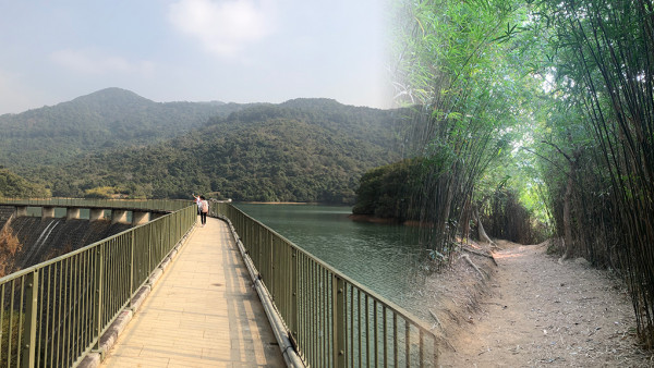 行山好去處｜元朗河背水塘簡易行山路線！竹林隧道、S型水霸打卡位 1小時輕鬆睇水塘美景