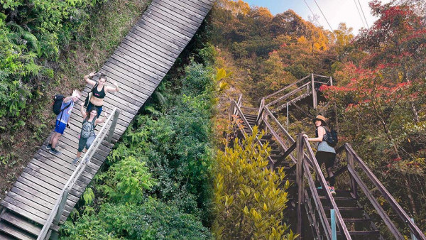 行山好去處｜4小時行完昂坪棧道行山路線！木地板山路營造古典風打卡熱點（前往交通方式、行程推薦一覽）