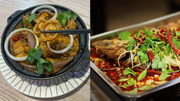 九龍城2小時台式火鍋放題優惠！無限任食紅蟹/台灣小食芋圓/甜不辣 歎花膠雞煲/酸菜烤魚