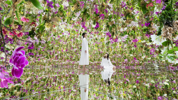 澳門teamLab 6月起推3大全新藝術作品！逾8,000朵蘭花空中飛舞/巨型白雲雕塑