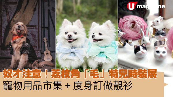 奴才注意！荔枝角「毛」特兒時裝展  寵物用品市集+度身訂做靚衫