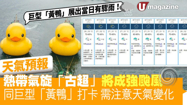 熱帶氣旋「古超」將成強颱風  同巨型「黃鴨」打卡需注意天氣變化