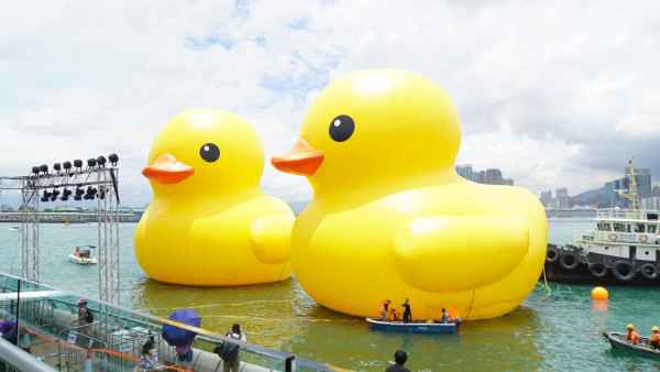 黃鴨相隔10年再來香港！兩隻18米高黃色巨鴨Rubber Ducks 6月10日起中環海濱展出