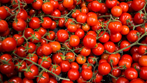 1個方法分辨車厘茄甜度？　專家教你用科學實證方法揀香甜車厘茄
