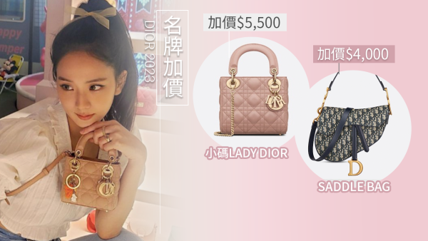DIOR加價2023｜6大袋款最新售價一覽！LADY DIOR加至5萬！馬鞍包最值得投資？