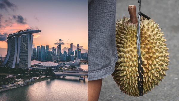 內地女帶榴槤入酒店收警告信 險罰3千大元！原來另1水果都唔得？