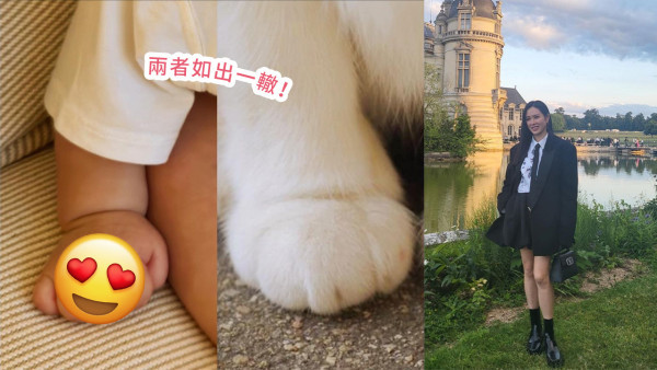孫藝珍首次公開「小甜豆」肉手！以貓爪做對比融化千萬粉絲！期待下次曝光正臉照！
