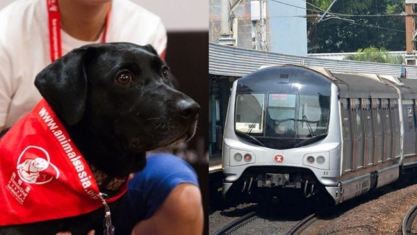 國際狗狗日｜導盲犬以外狗隻獲准搭港鐵！一日限定！車廂中與「狗醫生」見面！