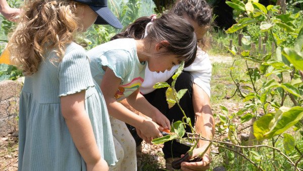 長洲好去處｜長洲西園11.4童趣運動會！400,000呎園區/兒童越野賽道+高爾夫體驗(附時間/日期/活動詳情)