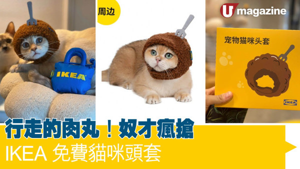 IKEA免費貓咪頭套　行走的肉丸！奴才瘋搶