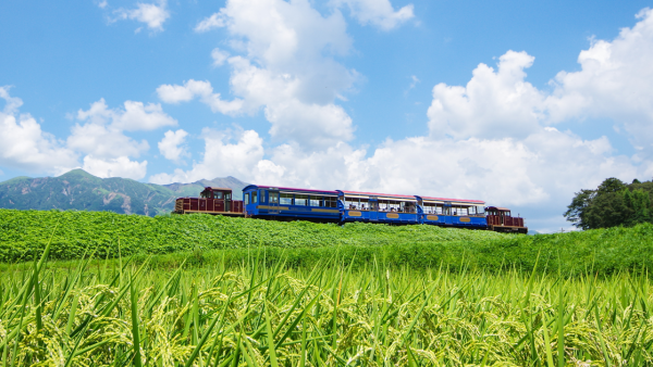 HK Express 11月開通熊本航點 單程$548起！趕及乘坐南阿蘇鐵道