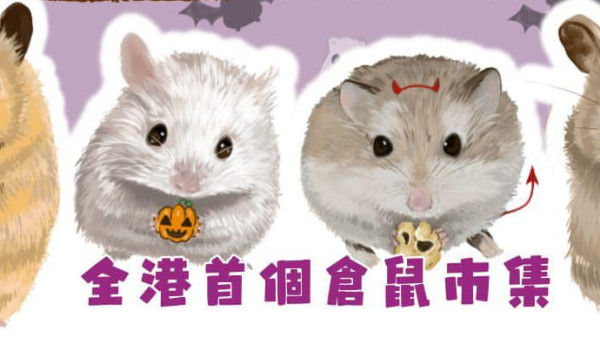 萬聖節好去處｜全港首個倉鼠主題嘉年華10月底舉辦 10隻待領養倉鼠見面會+7大主題工作坊！