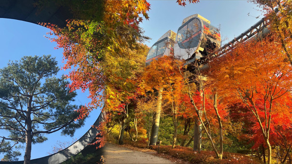 韓國紅葉2024 | 首爾近郊紅葉勝地「和談林」 一日遊 單軌列車賞楓超浪漫！一文看清交通+收費