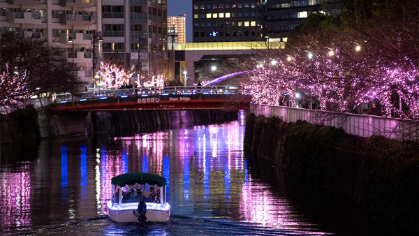 東京目黑川冬季限定另類「夜櫻」登場！ 38萬顆粉紅色LED燈海遍佈河道兩旁