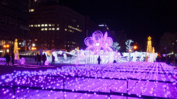 日本聖誕燈飾2023｜北海道札幌白色燈樹節2023  超夢幻雪景配1.5公里彩燈大道
