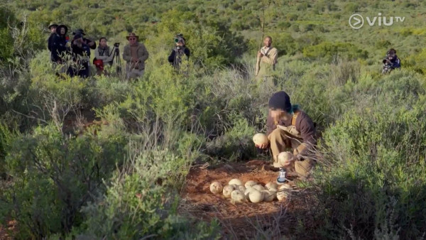 《無制限探險隊》EP6｜Mike導勇悍偷鴕鳥蛋 再上山頂邀南非人大唱獅子山下