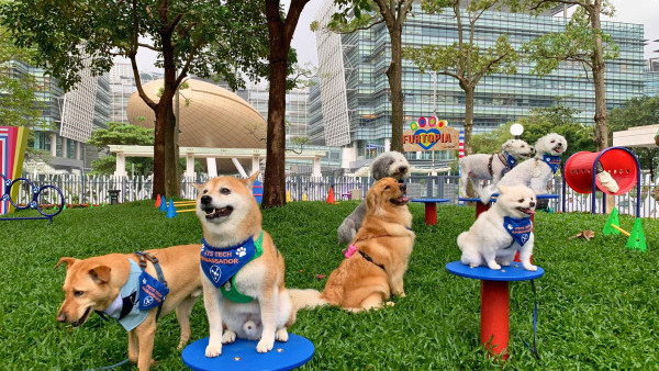 科學園首個寵物公園「寵愛點」正式啓用！一連十日限定萬聖節市集／美食優惠