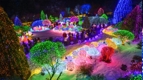 韓國聖誕2023｜首爾近郊晨靜樹木園「五色星光庭園展」  打卡夢幻童話燈光森林／花海隧道