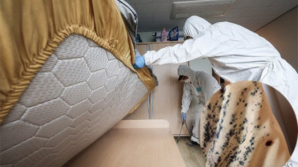 南韓床蝨爆發｜地鐵汗蒸幕蝨滿為患　首爾急撥5億韓圜治蝨　防蝨3招免旅行惹蝨