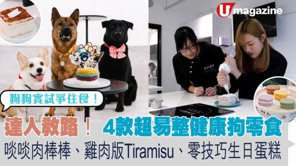 達人教路！ 4款超易整健康狗零食 啖啖肉棒棒、雞肉版Tiramisu、零技巧生日蛋糕