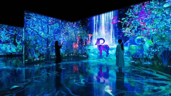 日本自由行2024 | 福岡 teamLab 推全新冬季限定作品！夢幻雪地場景、冬花繪製數位動物