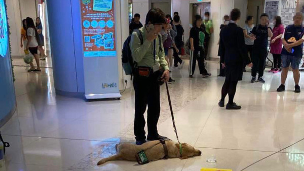 導盲犬商場突然暈倒搶救不治　化驗報告懷疑中毒致死／中心：已報警備案