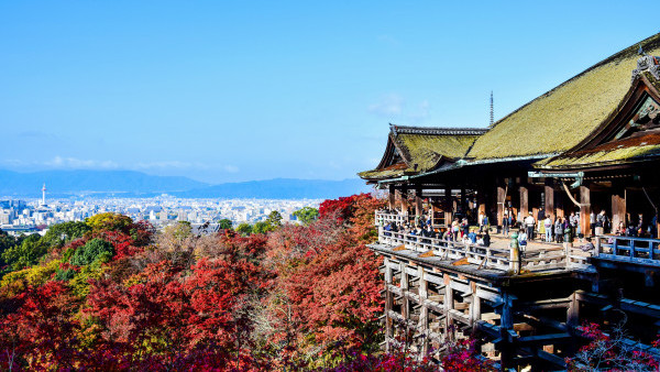 京都紅葉季酒店貴近2倍 遊客依然覺便宜！日本人大呻貴到很離譜 附2大搵平住宿方法
