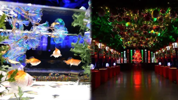 東京聖誕2023 | 銀座藝術水族館聖誕亮燈活動開催！夢幻雪花水族館/冰柱瀑布/冬日走廊