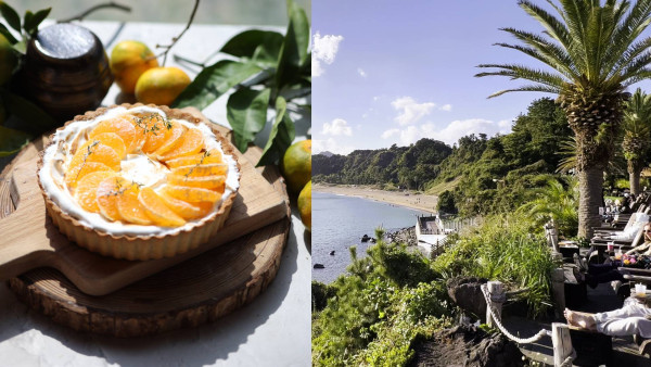 韓國旅遊｜濟州島必去4間cafe 海灘歎啤、懸崖睇日落、農園DIY甜品、禪修茶藝