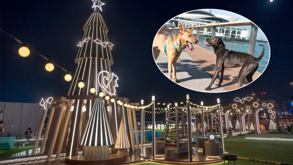 灣仔愛協寵物友善聖誕嘉年華　40檔美食精品／寵物特色市集／本地歌手驚喜現身！