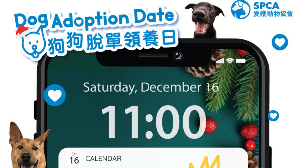 愛協聖誕舉辦「狗狗脫單領養日」　製作狗狗玩具／免費寵物零食飲品