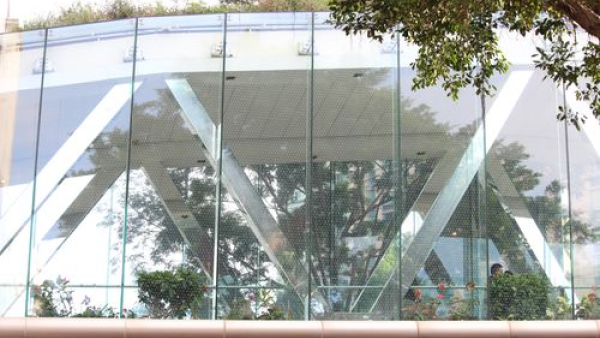 商場天橋玻璃變鳥撞窗殺點 1個方法處理防窗殺獲關注組勁讚：行動積極