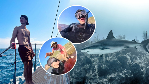 澳洲男海邊散心遇鯊魚狂噬 第一身驚險影像曝光！海水染成一片紅